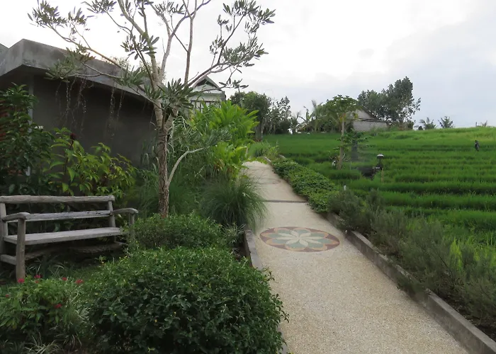 De Moksha Eco Friendly Boutique Resort