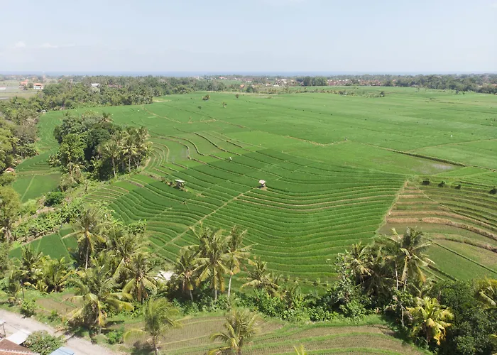 De Moksha Eco Friendly Boutique Resort Resort 4*